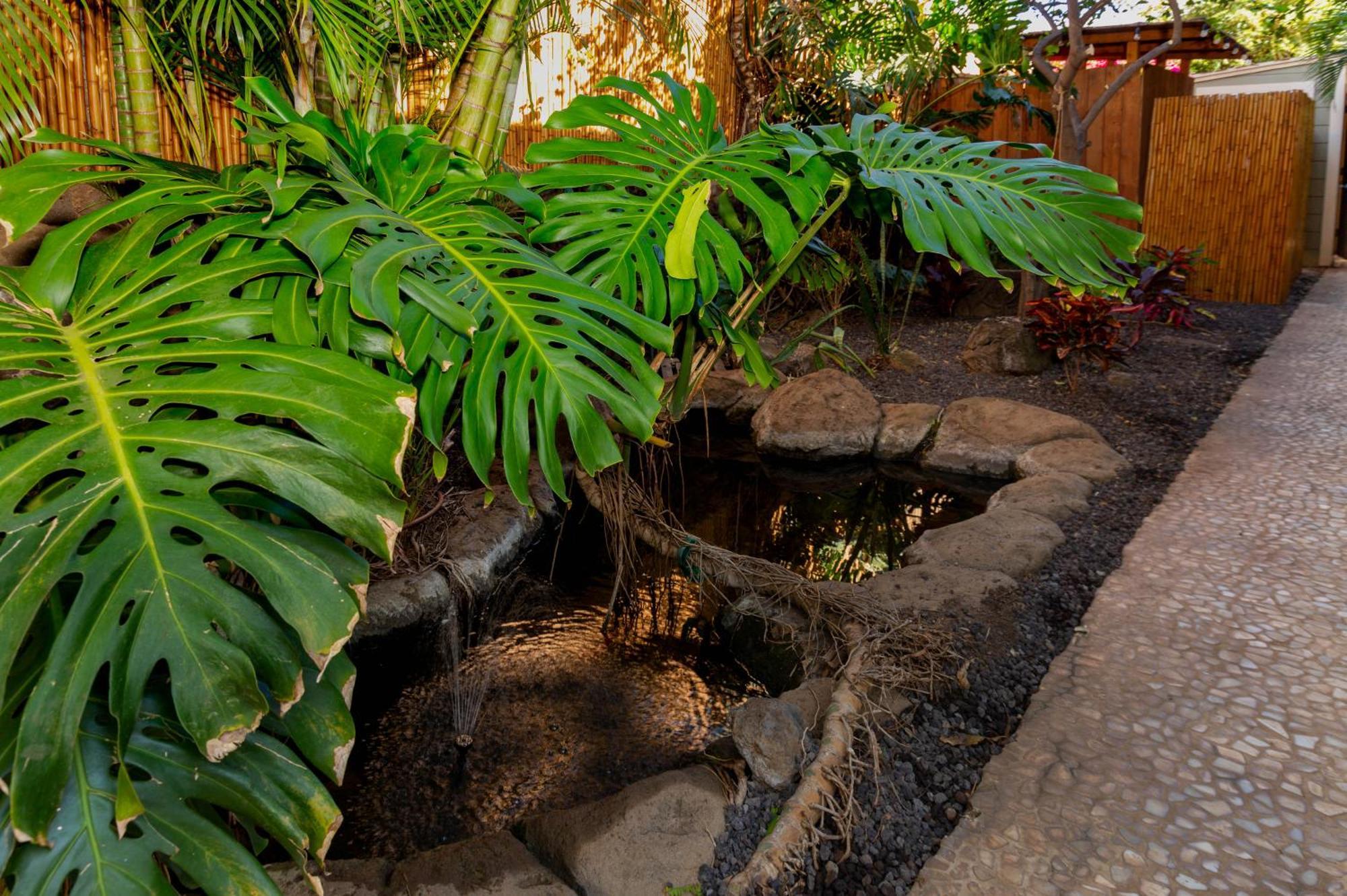 Lotus Suite, 1 Bedroom, Sleeps 4, Pool & Bbq, Pre-Renovation Summer Sale Kihei Exterior foto